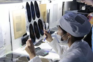 色彩大會第二日 眾企業齊聚思明通崯濤油墨工廠，實地參觀學習與深度技術交流